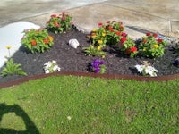 a flower bed with flowers in it